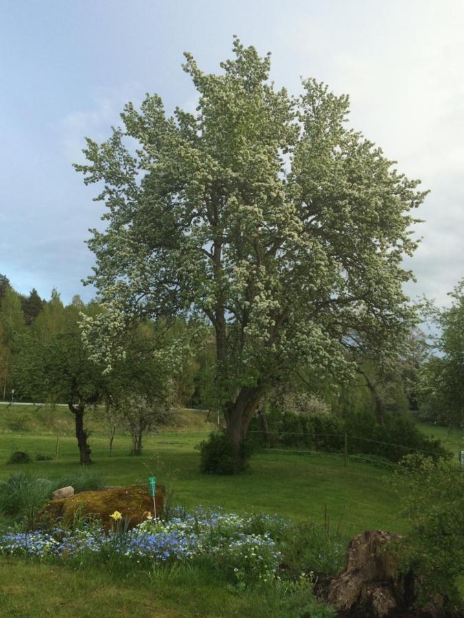 Braenntorps Gard Villa Kolmården Eksteriør bilde